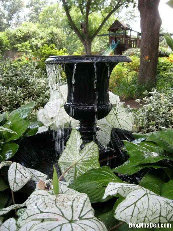 Bố trí tiểu cảnh nước trong sân vườn