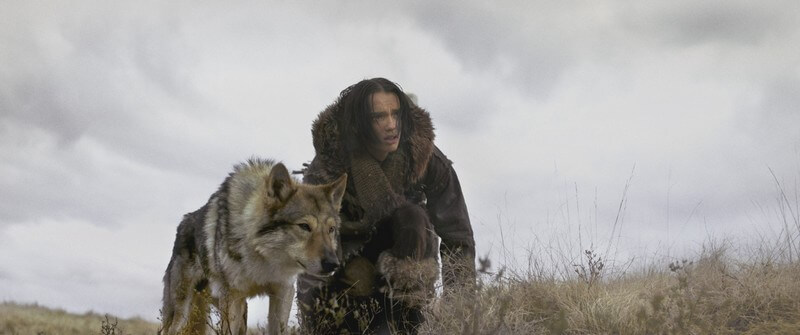 Review phim Alpha: Người Thủ Lĩnh – Chuyện người và sói 20000 năm trước
