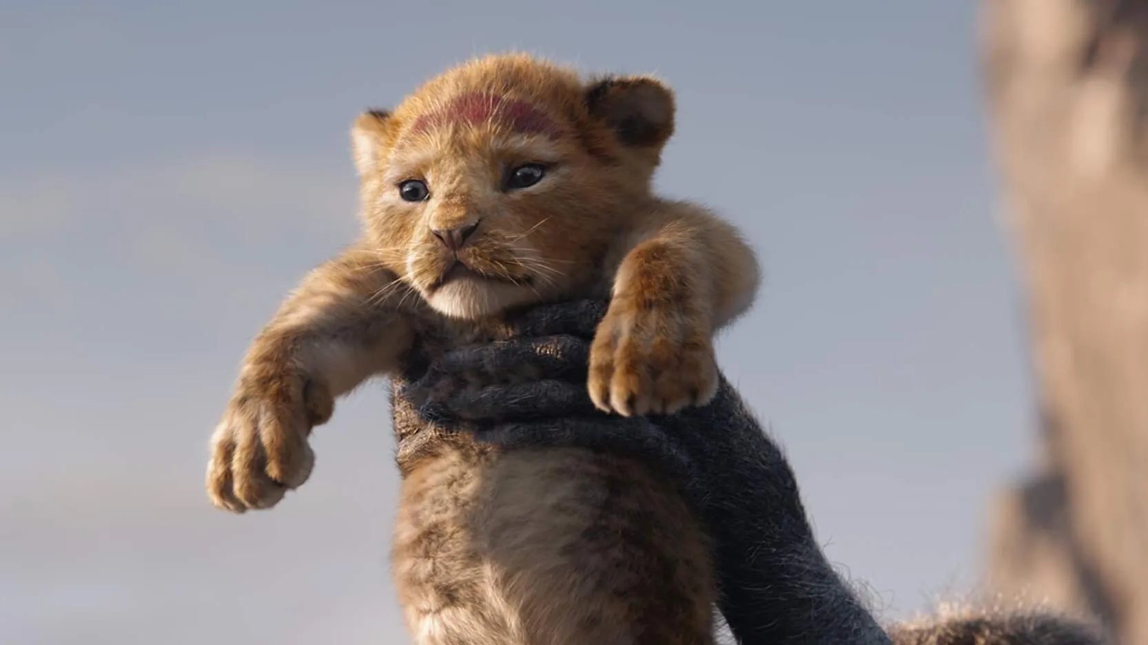 Review phim Vua Sư Tử (Lion King): cả một bầu trời tuổi thơ