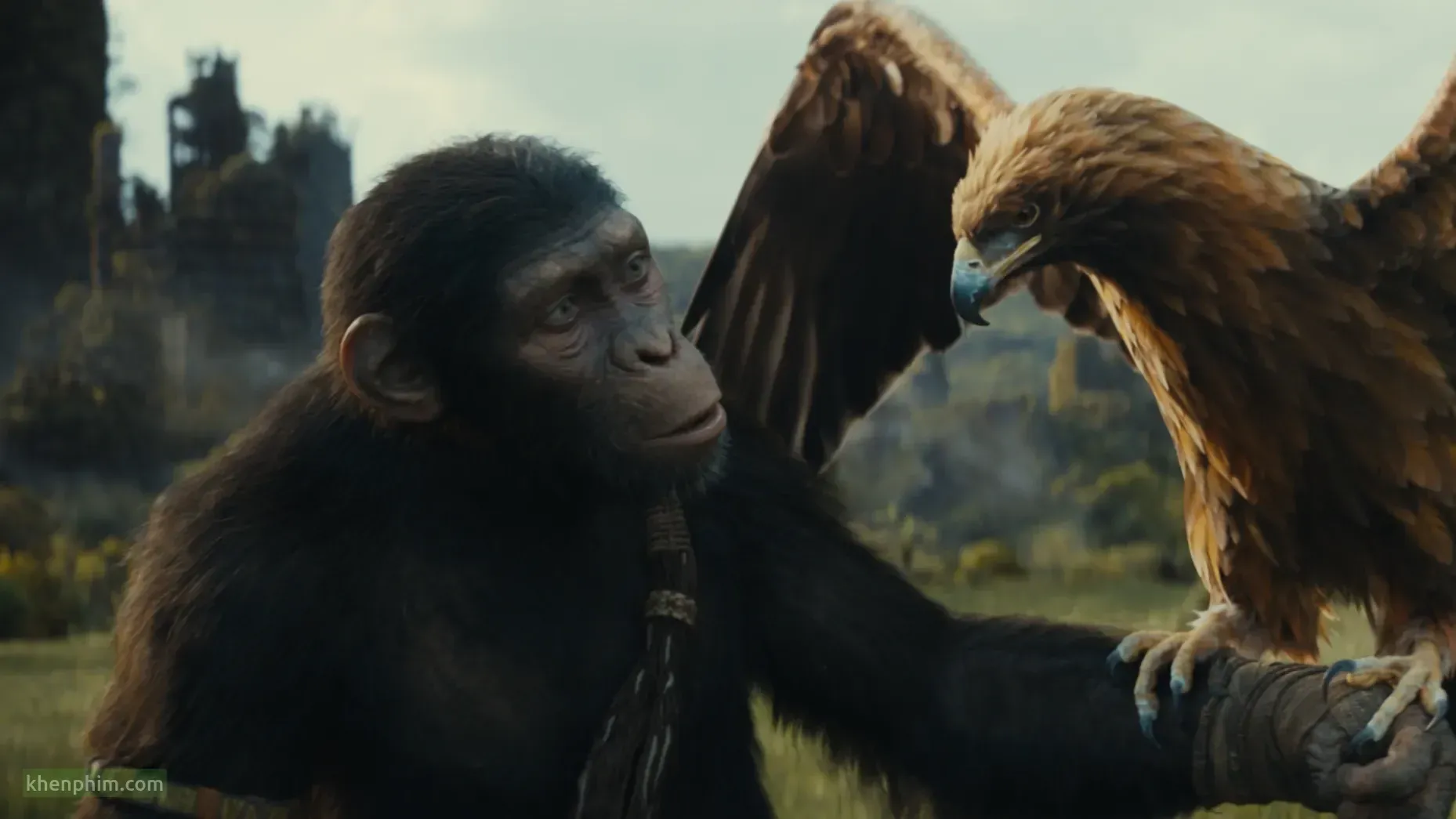 Review phim Hành Tinh Khỉ: Vương Quốc Mới – Vì giống loài hay vì lợi ích chung?